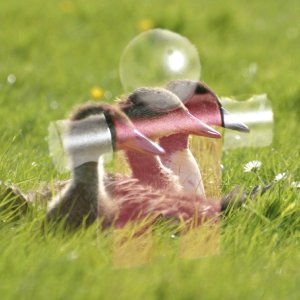 Beispiel für den Ebenenmodus Bildschirm